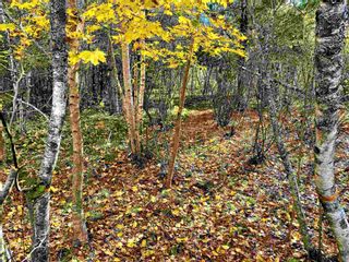 Photo 6: LOT 0 Aalders Avenue in New Minas: Kings County Vacant Land for sale (Annapolis Valley)  : MLS®# 202223092