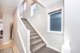 Photo 25: 269 Ambleside Avenue NW in Calgary: C-527 Detached for sale : MLS®# A2122797