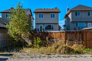 Photo 21: 147 Silverado Drive SW in Calgary: Silverado Detached for sale : MLS®# A2004396