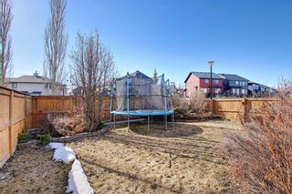 Photo 43: 277 Tuscany Ridge Heights NW in Calgary: Tuscany Detached for sale : MLS®# A1095708
