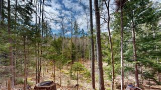 Photo 9: Lot Sarah Drive in Coldbrook: Kings County Vacant Land for sale (Annapolis Valley)  : MLS®# 202307154