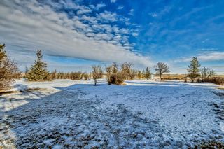 Photo 35: 182044 804 Highway: Rural Vulcan County Detached for sale : MLS®# A2020669
