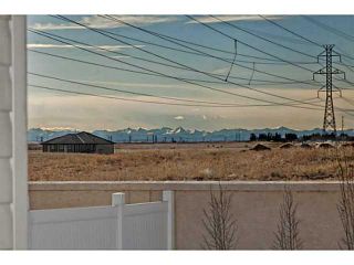 Photo 20: 113 Rainbow Falls Boulevard: Chestermere House for sale : MLS®# C3656518