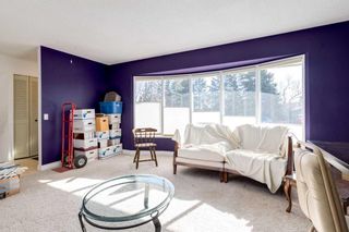Photo 7: 719 Cantrell Place SW in Calgary: Canyon Meadows Detached for sale : MLS®# A2124546