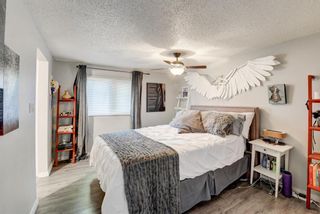 Photo 17: 2416 48 Street NW in Calgary: Montgomery Detached for sale : MLS®# A1063457