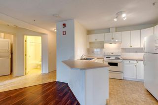 Photo 6: 339 165 Manora Place NE in Calgary: Marlborough Park Apartment for sale : MLS®# A1226923