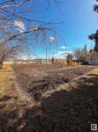 Photo 11: 461048 RR63: Rural Wetaskiwin County House for sale : MLS®# E4382383