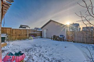 Photo 28: 140 Elgin Meadows Gardens SE in Calgary: McKenzie Towne Semi Detached (Half Duplex) for sale : MLS®# A2104676