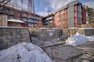 Main Photo: 306 333 Garry Crescent NE in Calgary: Greenview Apartment for sale : MLS®# A2034884