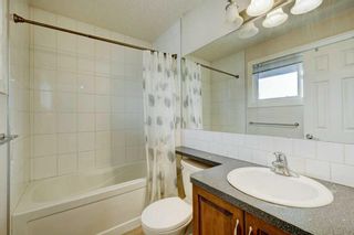 Photo 17: 4912 44 Avenue NE in Calgary: Whitehorn Semi Detached (Half Duplex) for sale : MLS®# A2131109