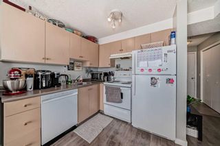 Photo 13: 3306 1620 70 Street SE in Calgary: Applewood Park Apartment for sale : MLS®# A2123526