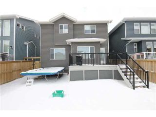 Photo 20: 824 COOPERS Square SW: Airdrie Residential Detached Single Family for sale : MLS®# C3606145