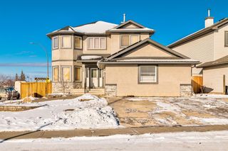 Photo 42: 348 Oakmere Way: Chestermere Detached for sale : MLS®# A1203085