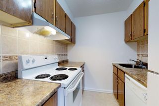 Photo 11: 104 12831 66 Street NW: Edmonton Apartment for sale : MLS®# A1257228