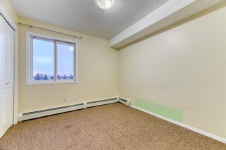Photo 19: 409 1717 60 Street SE in Calgary: Red Carpet Apartment for sale : MLS®# A2010861