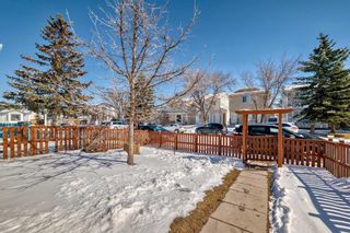Photo 38: 76 Martinbrook Road NE in Calgary: Martindale Detached for sale : MLS®# A2119222