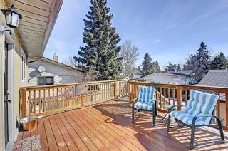 Photo 25: 47 Stafford Street: Crossfield House for sale : MLS®# C4179003