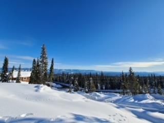Photo 7: 3 Monashee Way, in Big White: Vacant Land for sale : MLS®# 10266470