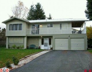Photo 1: 4784 206A Street in Langley: Langley City House for sale : MLS®# F1002763