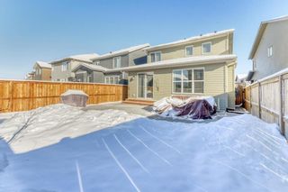 Photo 36: 39 Legacy Row SE in Calgary: Legacy Detached for sale : MLS®# A2022041