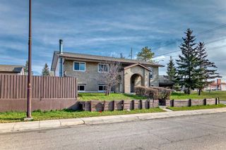 Photo 49: 2044 Pinetree Crescent NE in Calgary: Pineridge Detached for sale : MLS®# A2124958