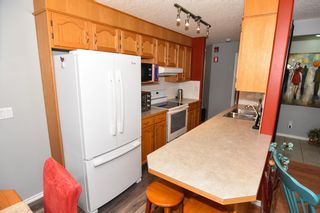 Photo 10: 327 165 Manora Place NE in Calgary: Marlborough Park Apartment for sale : MLS®# A1219056