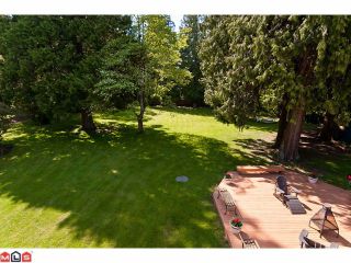 Photo 10: 2969 132ND Street in Surrey: Elgin Chantrell House for sale (South Surrey White Rock)  : MLS®# F1113623