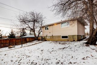 Photo 40: 1711 12 Avenue NE in Calgary: Mayland Heights Detached for sale : MLS®# A1178466