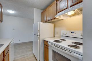 Photo 5: 811 924 14 Avenue SW in Calgary: Beltline Apartment for sale : MLS®# A2124812