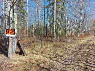 Photo 4: LOT 19 NESS LAKE Road in Prince George: Ness Lake Land for sale (PG Rural North (Zone 76))  : MLS®# R2572222
