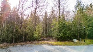 Photo 11: 140 COUNTRY CLUB Road: Furry Creek Land for sale (West Vancouver)  : MLS®# R2851415