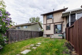 Photo 26: 43 Templemont Drive NE in Calgary: Temple Semi Detached for sale : MLS®# A1228299