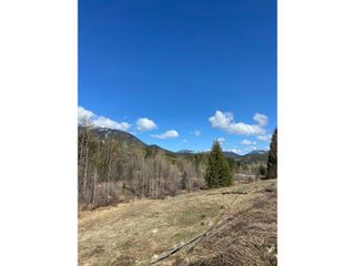 Photo 5: 201 JOLIFFE WAY in Rossland: Vacant Land for sale : MLS®# 2475917