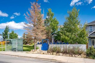 Photo 1: 308 Taradale Drive NE in Calgary: Taradale Detached for sale : MLS®# A2144497