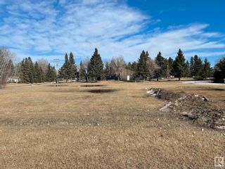 Photo 5: 5433 52 Street: Thorsby Vacant Lot/Land for sale : MLS®# E4285335