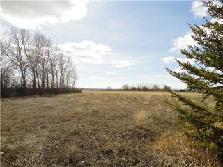 Photo 7: East on Dunbow Road - South on 96 Street in DE WINTON: Rural Foothills M.D. Rural Land for sale : MLS®# C3558895