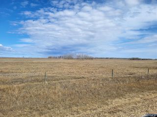 Photo 8: Radisson 158 acres Pastureland (Que) in Great Bend: Farm for sale (Great Bend Rm No. 405)  : MLS®# SK965878