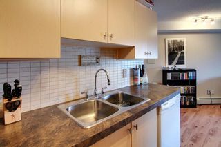 Photo 11: 306 3000 Citadel Meadow Point NW in Calgary: Citadel Apartment for sale : MLS®# A1244285