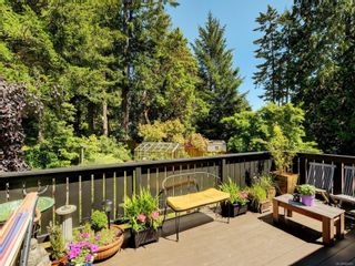 Photo 16: 1924 Sandover Cres in North Saanich: NS Dean Park House for sale : MLS®# 906921