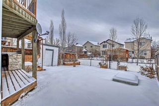 Photo 39: 15785 Everstone Road SW in Calgary: Evergreen Detached for sale : MLS®# A2100834
