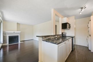 Photo 7: 203 305 25 Avenue SW in Calgary: Mission Apartment for sale : MLS®# A2044945