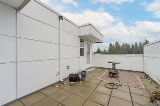 Photo 19: 4 2505 WARE Street in Abbotsford: Central Abbotsford Townhouse for sale in "MILL DISTRICT" : MLS®# R2644699