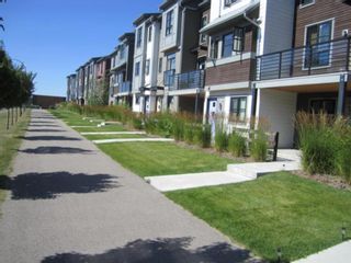 Photo 29: 61 Walden Common SE in Calgary: Walden Row/Townhouse for sale : MLS®# A1224371