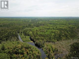 Photo 7: Lot A Canoose Stream Road in Canoose: Vacant Land for sale : MLS®# NB090908