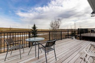 Photo 29: 335 Chaparral Valley Way SE in Calgary: Chaparral Detached for sale : MLS®# A1208634