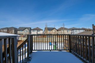 Photo 27: 252 Copperstone Gardens SE in Calgary: Copperfield Detached for sale : MLS®# A2036163