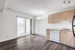 Photo 4: 3209 1620 70 Street SE in Calgary: Applewood Park Apartment for sale : MLS®# A1116068