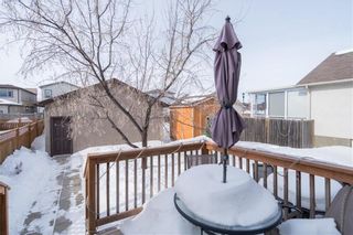 Photo 46: 6 Proulx Place in Winnipeg: Sage Creek Residential for sale (2K)  : MLS®# 202304150