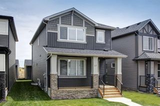 Photo 1: 31 Legacy Glen Manor in Calgary: Legacy Detached for sale : MLS®# A1193901
