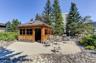 Photo 25: 206 4554 Valiant Drive NW in Calgary: Varsity Apartment for sale : MLS®# A1241630